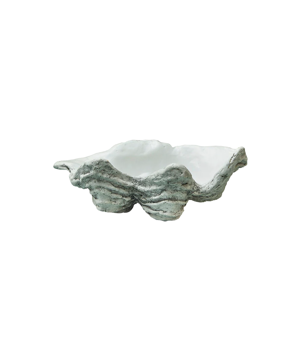 Clam Shell, Small - Image 7